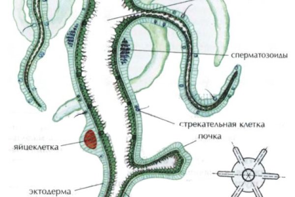 Кракен даркнет как зайти